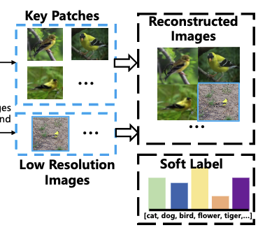 Key image patches and low-resolution images reconstructed with a soft class label.